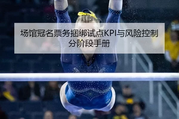 chang-guan-guan-ming-piao-wu-kun-bang-shi-dian-yu-feng-xian-kong-zhi-fen-jie-duan-shou-ce-2-380.jpg